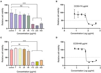 Plant-derived Ren's oligopeptide has antiviral effects on influenza virus and SARS-CoV-2